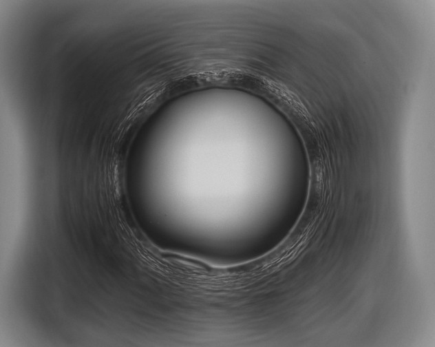 X0000116621060200912181300