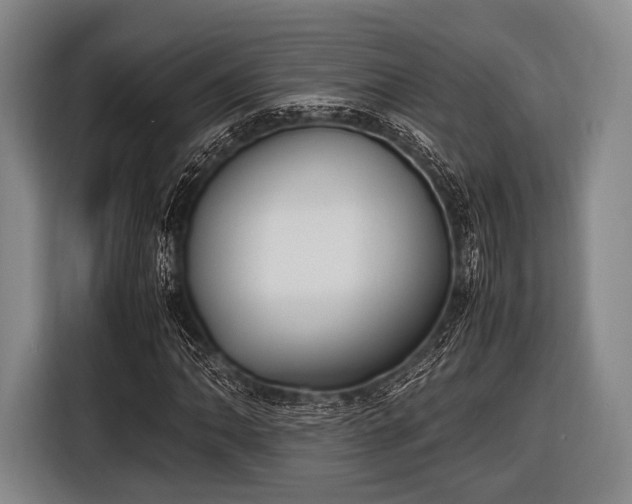 X0000116621062200912181300