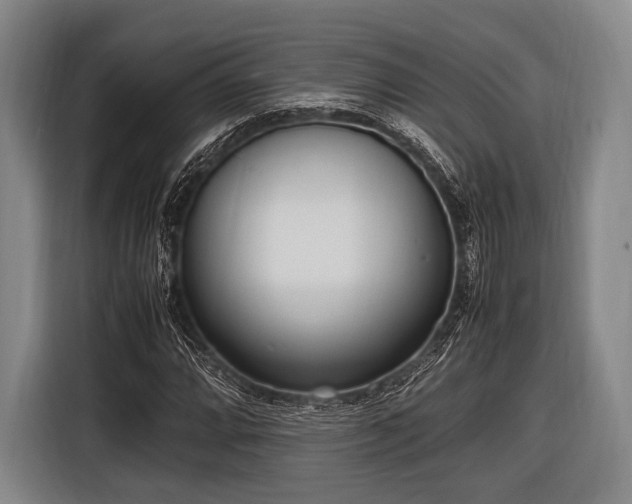 X0000116621064200912181300