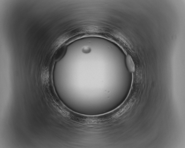 X0000116621065200912181300