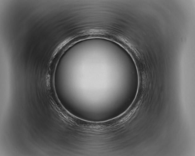 X0000116621066200912181300