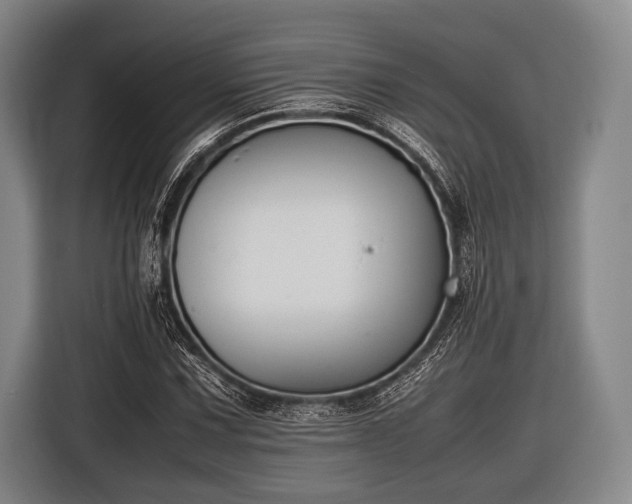 X0000116621067200912181300