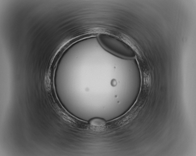 X0000116621068200912181300