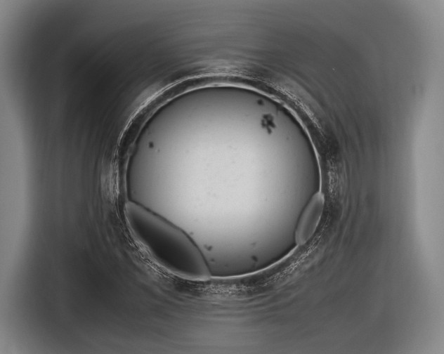 X0000116621069200912181300