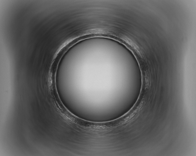 X0000116621070200912181300