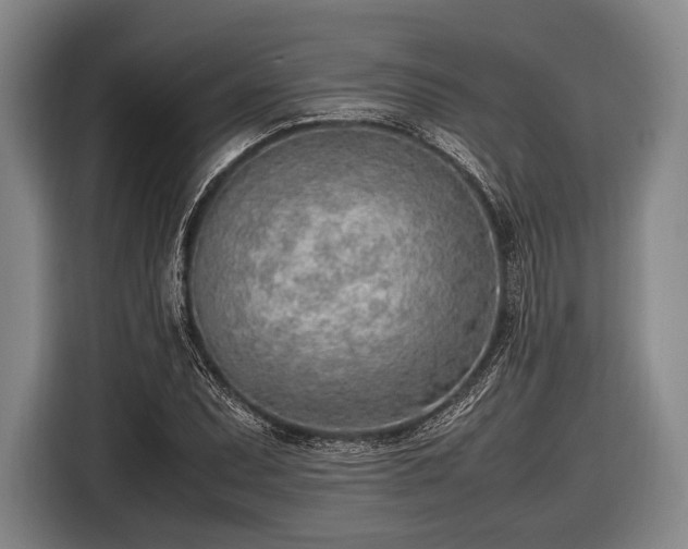 X0000116621071200912181300