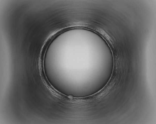 X0000116621072200912181300