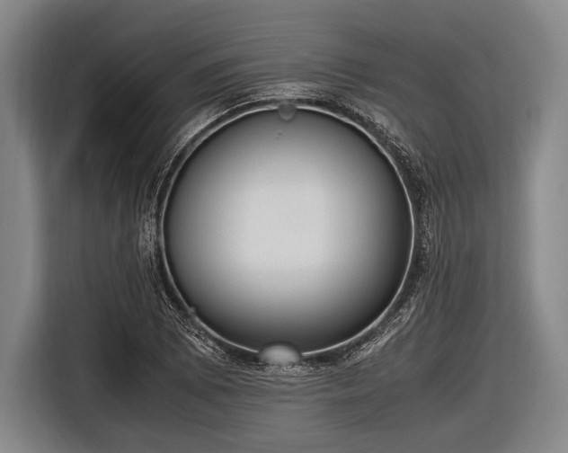 X0000116621073200912181300