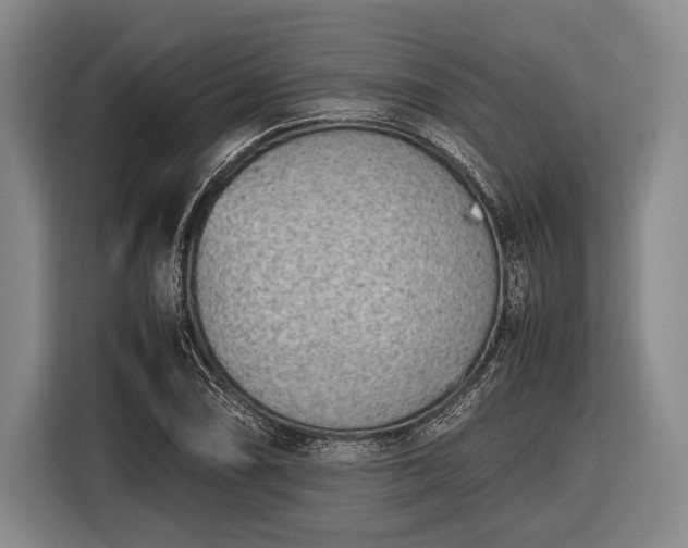 X0000116621074200912181300