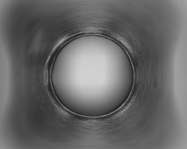 X0000116621075200912181300