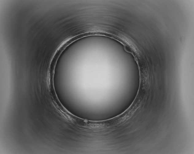 X0000116621076200912181300