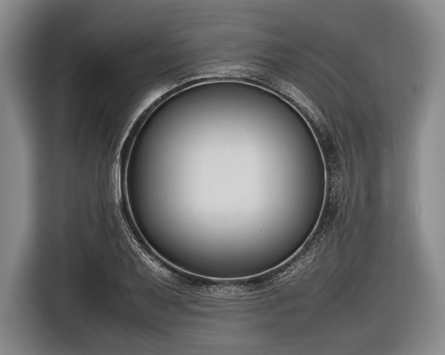 X0000116621079200912181300