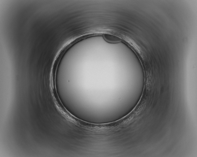 X0000116621080200912181300
