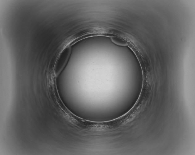 X0000116621081200912181300