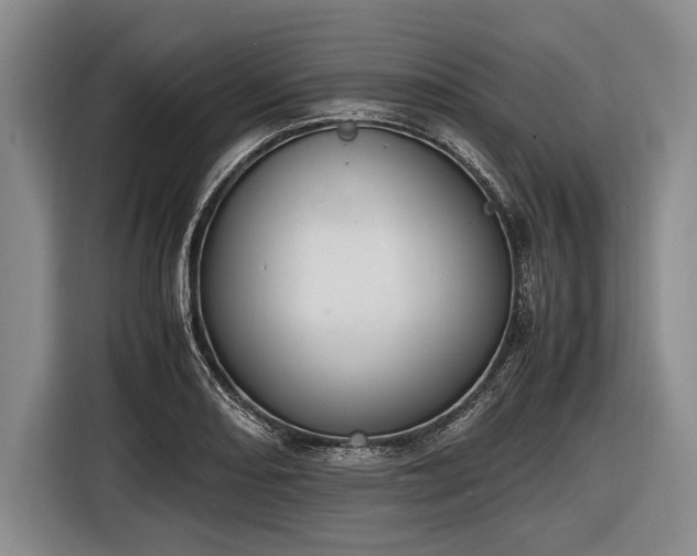 X0000116621082200912181300