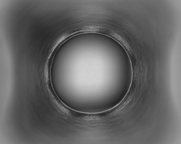 X0000116621083200912181300