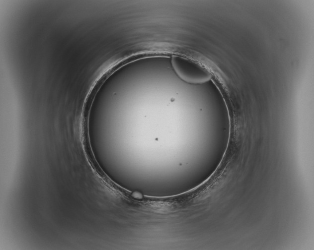 X0000116621085200912181300