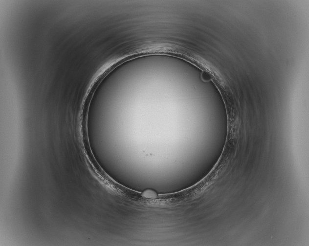 X0000116621086200912181300