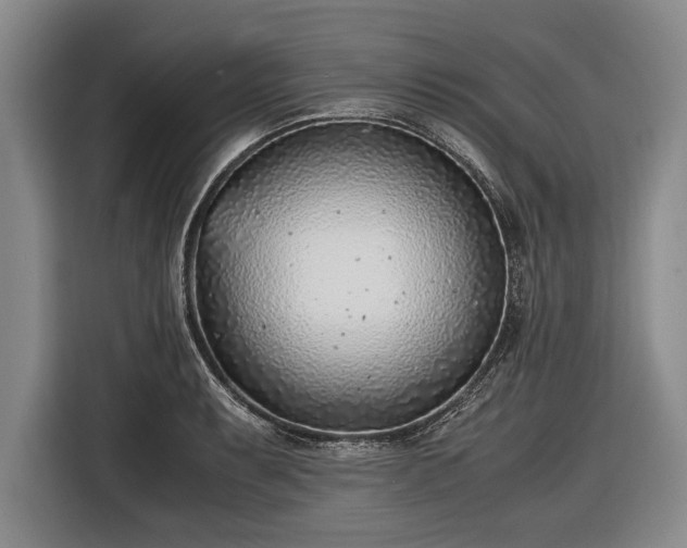X0000116621087200912181300