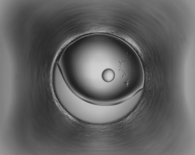 X0000116621088200912181300