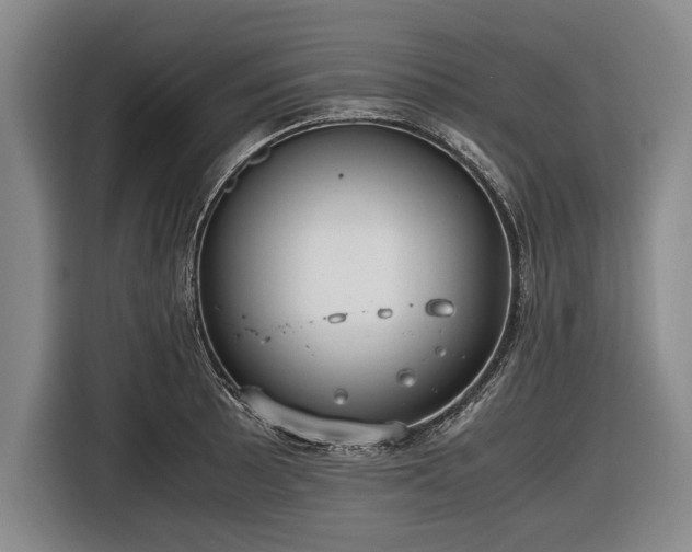 X0000116621089200912181300
