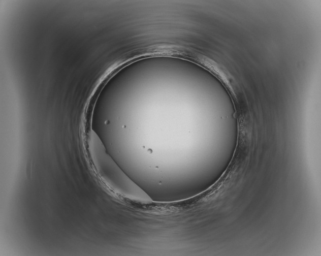 X0000116621091200912181300