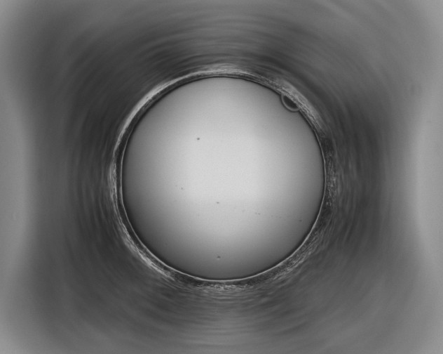 X0000116621092200912181300