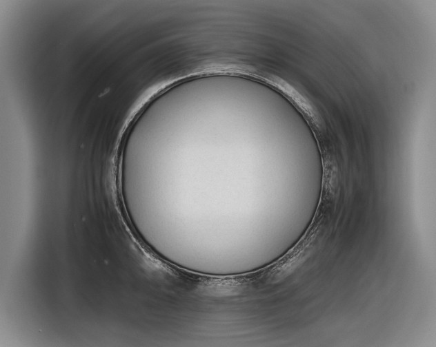 X0000116621094200912181300