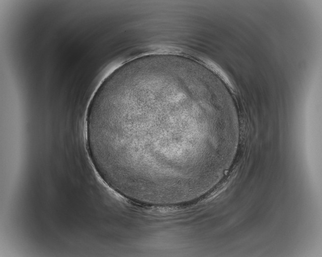 X0000116621095200912181300