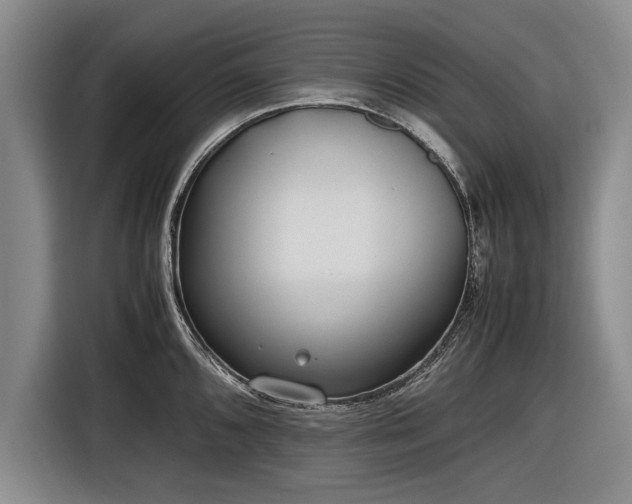 X0000116621096200912181300