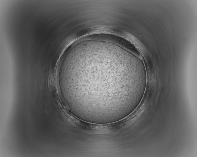 X0000116621097200912181300