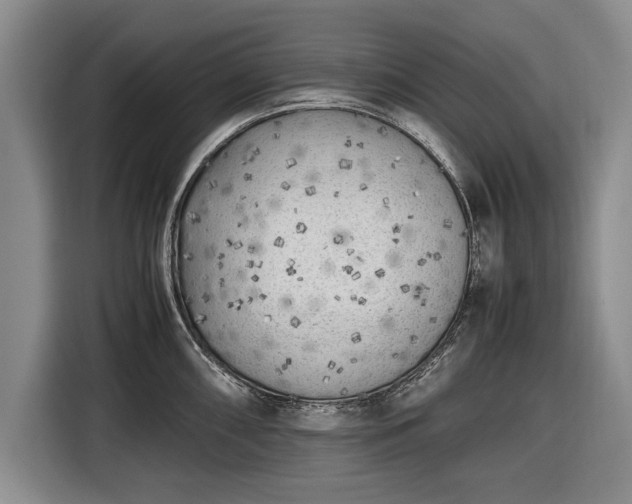 X0000116621098200912181300