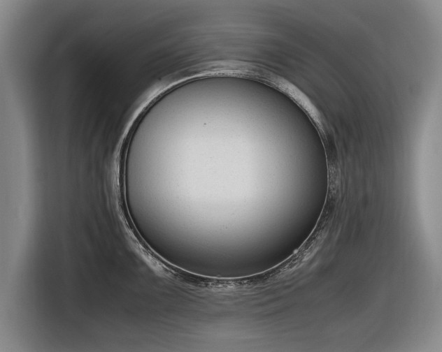 X0000116621099200912181300