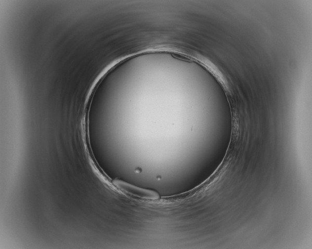 X0000116621100200912181300