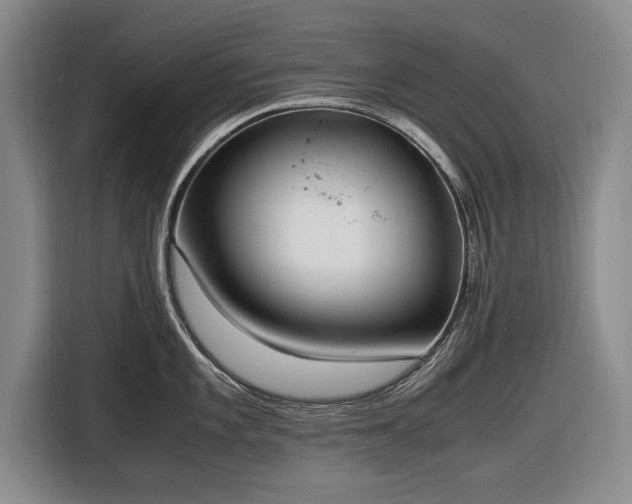 X0000116621101200912181300