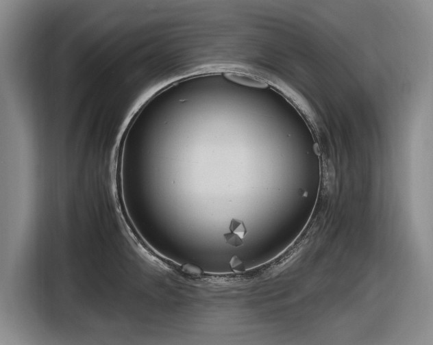 X0000116621102200912181300