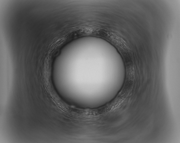 X0000116621105200912181259