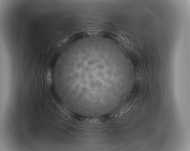 X0000116621106200912181259