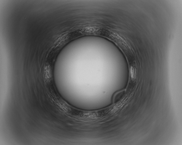 X0000116621107200912181259