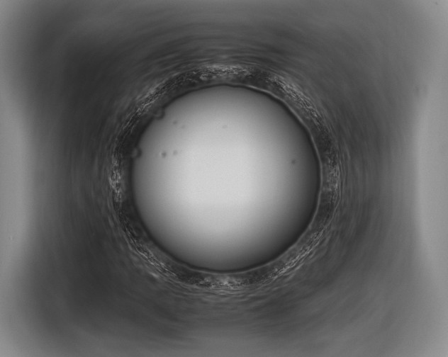 X0000116621109200912181259
