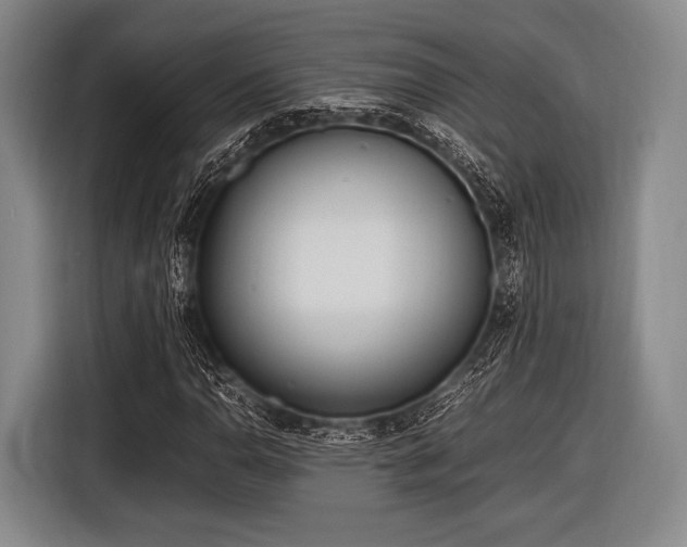 X0000116621110200912181259