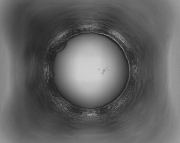 X0000116621111200912181259