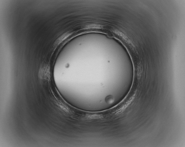 X0000116621113200912181259