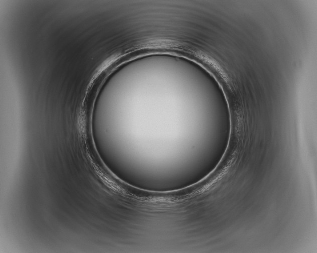 X0000116621114200912181259