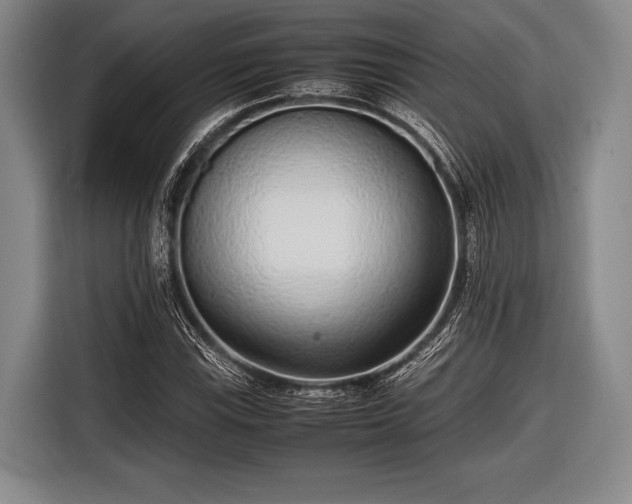 X0000116621115200912181259