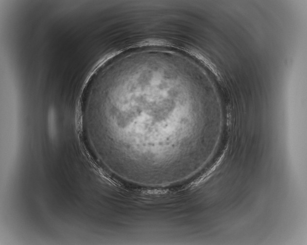 X0000116621117200912181259