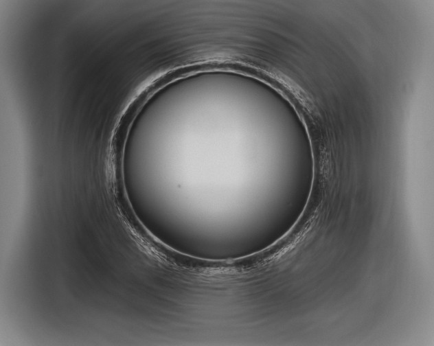 X0000116621118200912181259