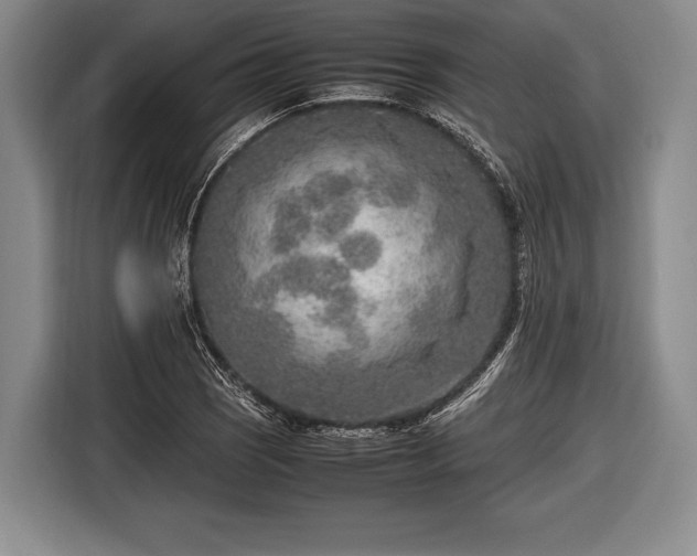 X0000116621121200912181259