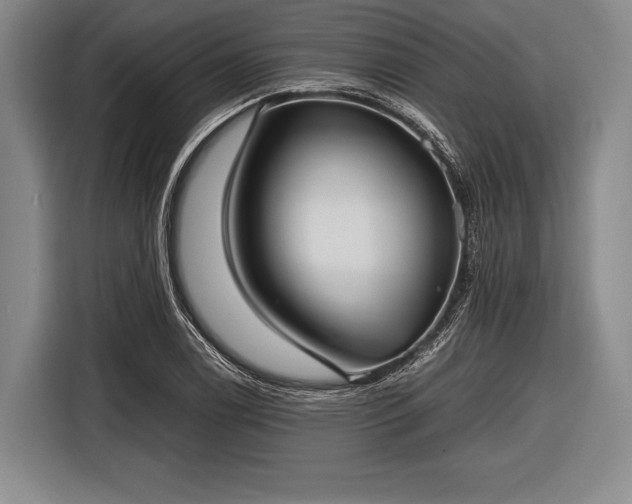 X0000116621122200912181259