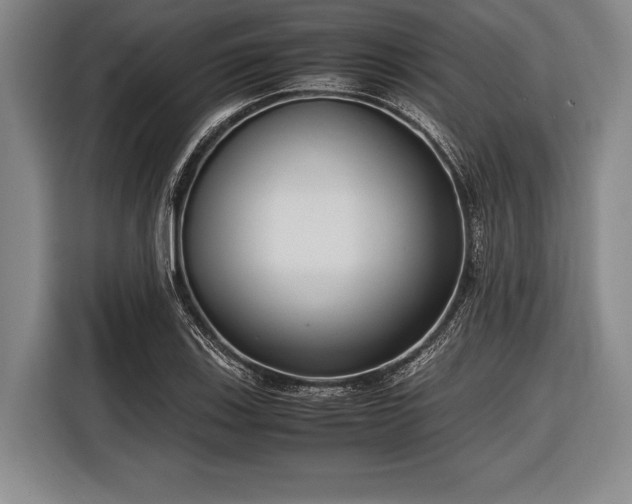 X0000116621123200912181259